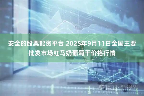 安全的股票配资平台 2025年9月11日全国主要批发市场红马奶葡萄干价格行情