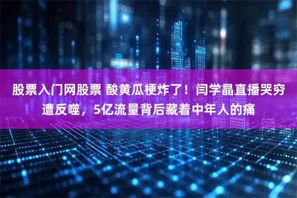 股票入门网股票 酸黄瓜梗炸了！闫学晶直播哭穷遭反噬，5亿流量背后藏着中年人的痛